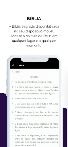 Videira São Paulo Screen 3