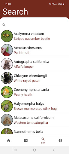 Android application Insects Species Identifier screenshort