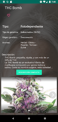Hierbapedia Pro - Weed Screen 3