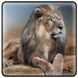 Lion king lockscreen theme icon
