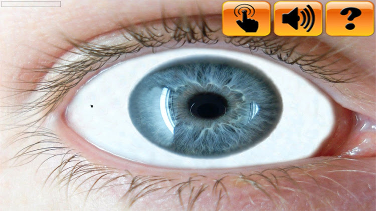 Eyewinker S-Pen - 1.0 - (Android)