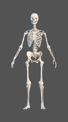 Android application Human Anatomy: Female 3D screenshort