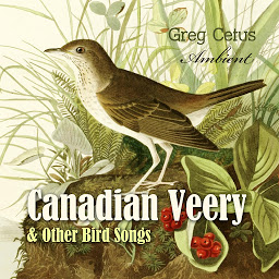 Obraz ikony: Canadian Veery and Other Bird Songs: Ambient Soundscape for Peace of Mind