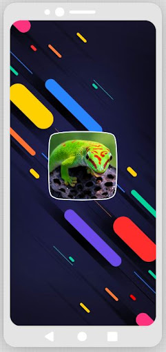 Android application Gecko Sounds screenshort