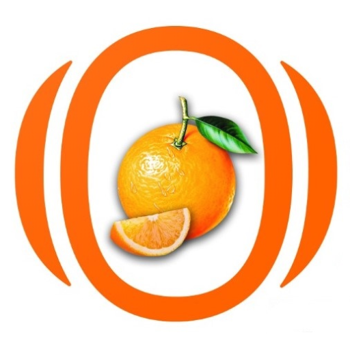 Orange Zone  Icon
