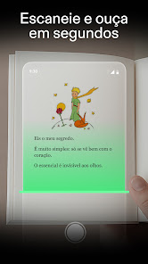 Imagem da captura de tela