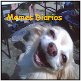 Memes Diarios latinos icon
