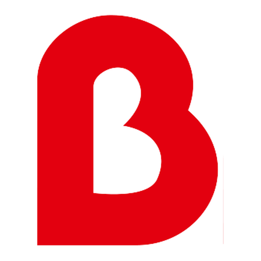 Mr.Bricolage Bulgaria logo