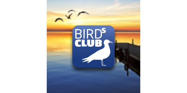 Bird club