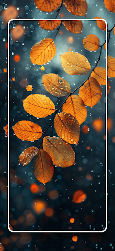 Screenshot of Autumn Wallpapers Nature 4K HD