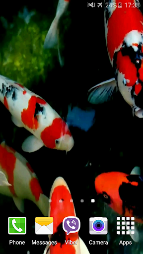 Koi 4K Video Live Wallpaper Screen 3
