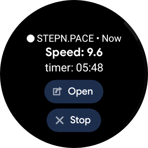 STEPN.PACE Screen 3