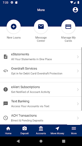 PowerNet Credit Union Screen 3