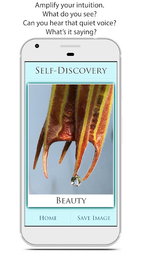 Self-Discovery Screen 2