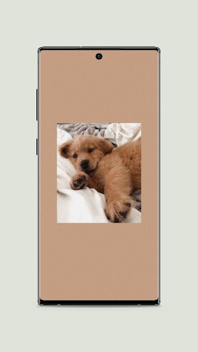 Dog aesthetic Wallpaper Screen 2