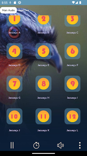 Android application Canto Para Atrair Jacuaçu screenshort