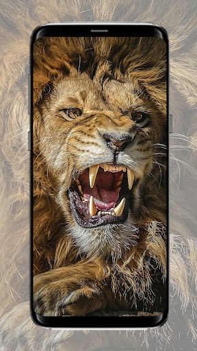 Lion Wallpaper Screen 3