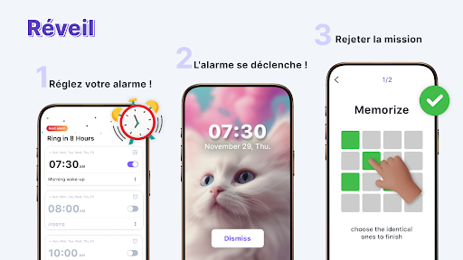 Aperçu de l'application