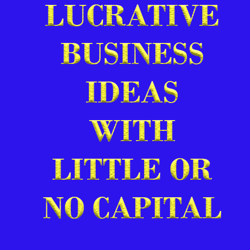 LUCRATIVE BUSINESS IDEAS WITH  1.1 Icon