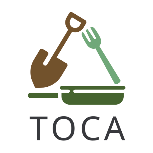 TOCA Platform logo