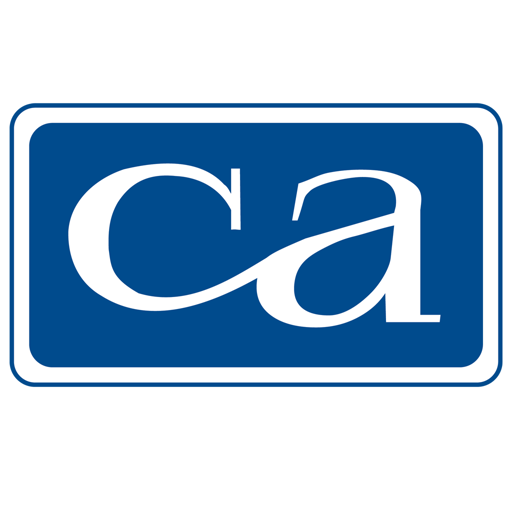 Citizens Insurance Hutchinson logo