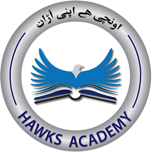 Hawks Academy logo