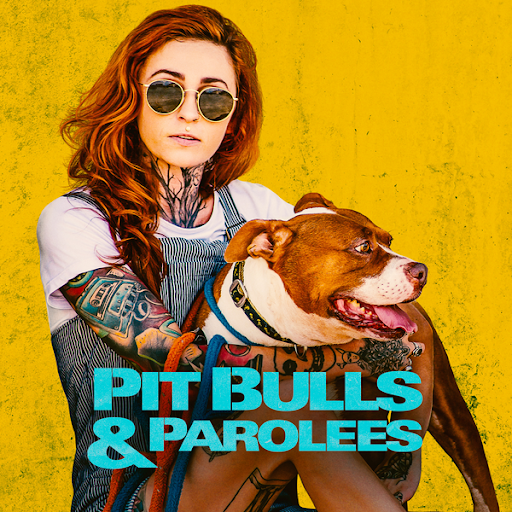 Pit Bulls and Parolees Season 13 TV on Google Play