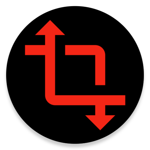 MobiSoft logo