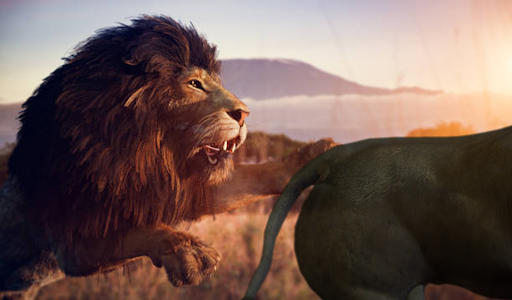 Hungry Lion  Lion Games