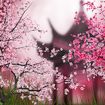 Cover Image of Download Sakura Live Wallpaper  APK