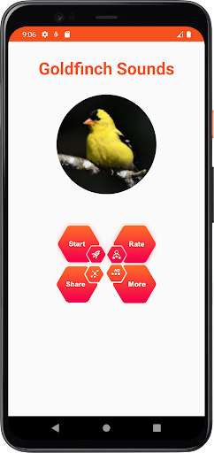 Goldfinch Sounds Screen 2