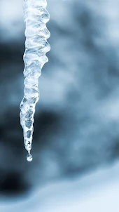 Icicle Wallpaper