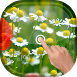 Magic Touch - Gentle Flowers icon