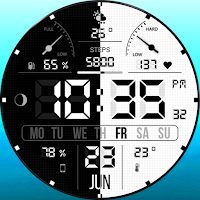 WFP 105 Stylish LCD watch face