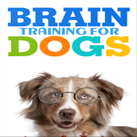 Brain Training For Dogs Unique Dog Training Course