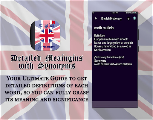 English Dictionary and Synonyms