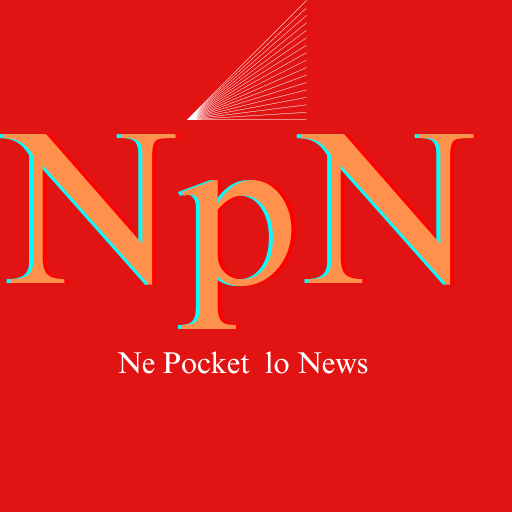 NPN Short News -Telugu logo