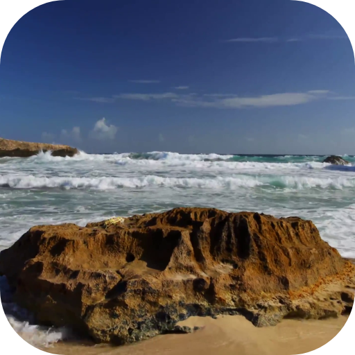 Surf Wallpapers & videos - Apps on Google Play