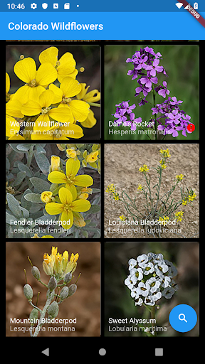 Android application Colorado Wildflowers Guide screenshort