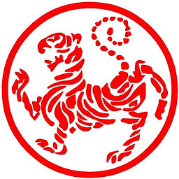 26 Shotokan Karate Katas: Download & Review