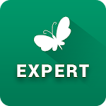 Cover Image of ダウンロード MN Experts 2.8 APK