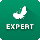 MN Experts icon