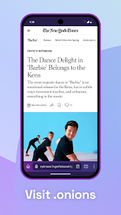 Tor Browser 3