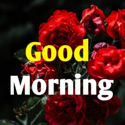 Good Morning Image Good Night logo