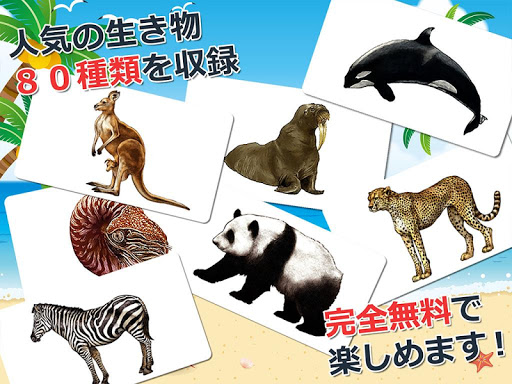 Download みんなの生き物カード図鑑 幼児 子供向け 教育 英語 Free For Android みんなの生き物カード図鑑 幼児 子供向け 教育 英語 Apk Download Steprimo Com