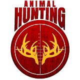 Animal Wild Safari Hunting Jungle Shooting Game 3D icon