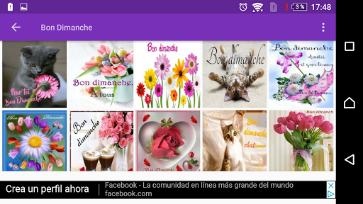 Beau Dimanche Screen 2