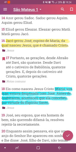 Bíblia em Português Ave Maria Screen 2