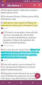 Captura 2 Bíblia em Português Ave Maria android