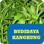 Budidaya Kangkung Hidroponik